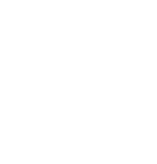 dayma logo